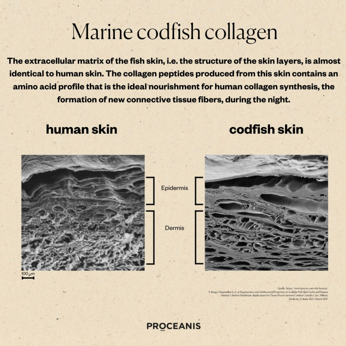 Collagen Drink