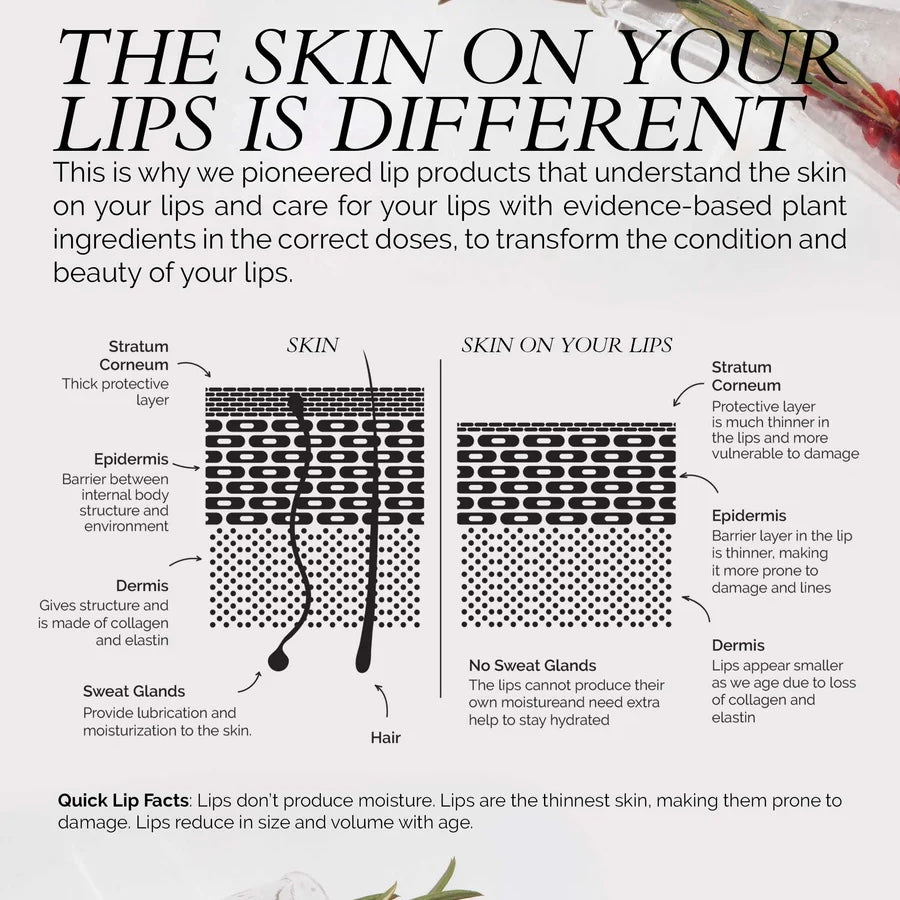 Lip Colour Serum - Gospel | Fitglow Beauty