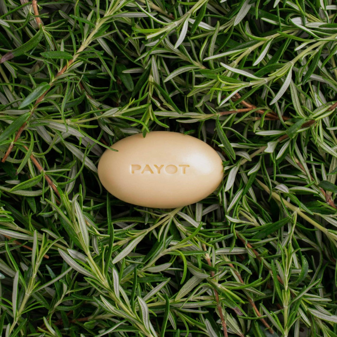 Herbier Nourishing Face & Body Massage Bar | Payot