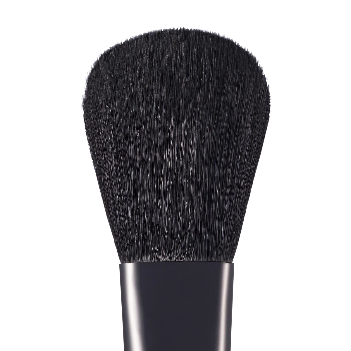 Cheek Brush CH3