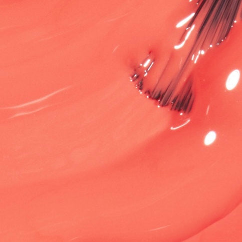 Toucan Do It if You Try