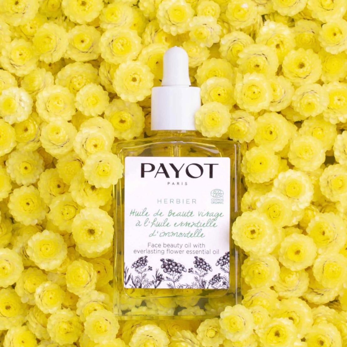 Herbier Face Beauty Oil | Payot