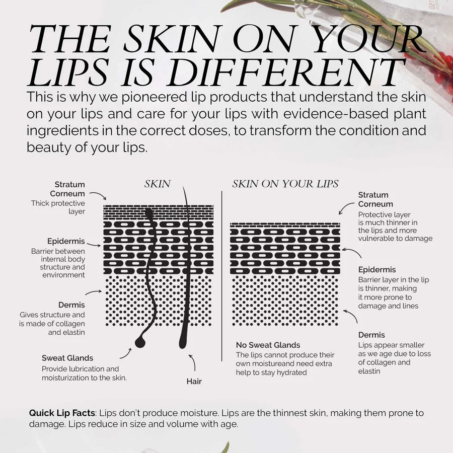 Lip Colour Serum - Beach Glow