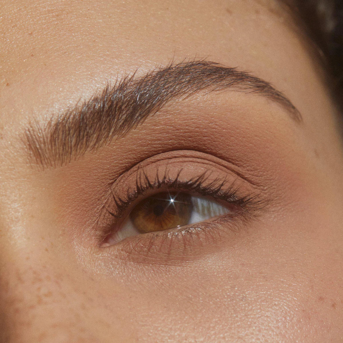 Luxe Lids Eye Stix - Cheeky Chestnut