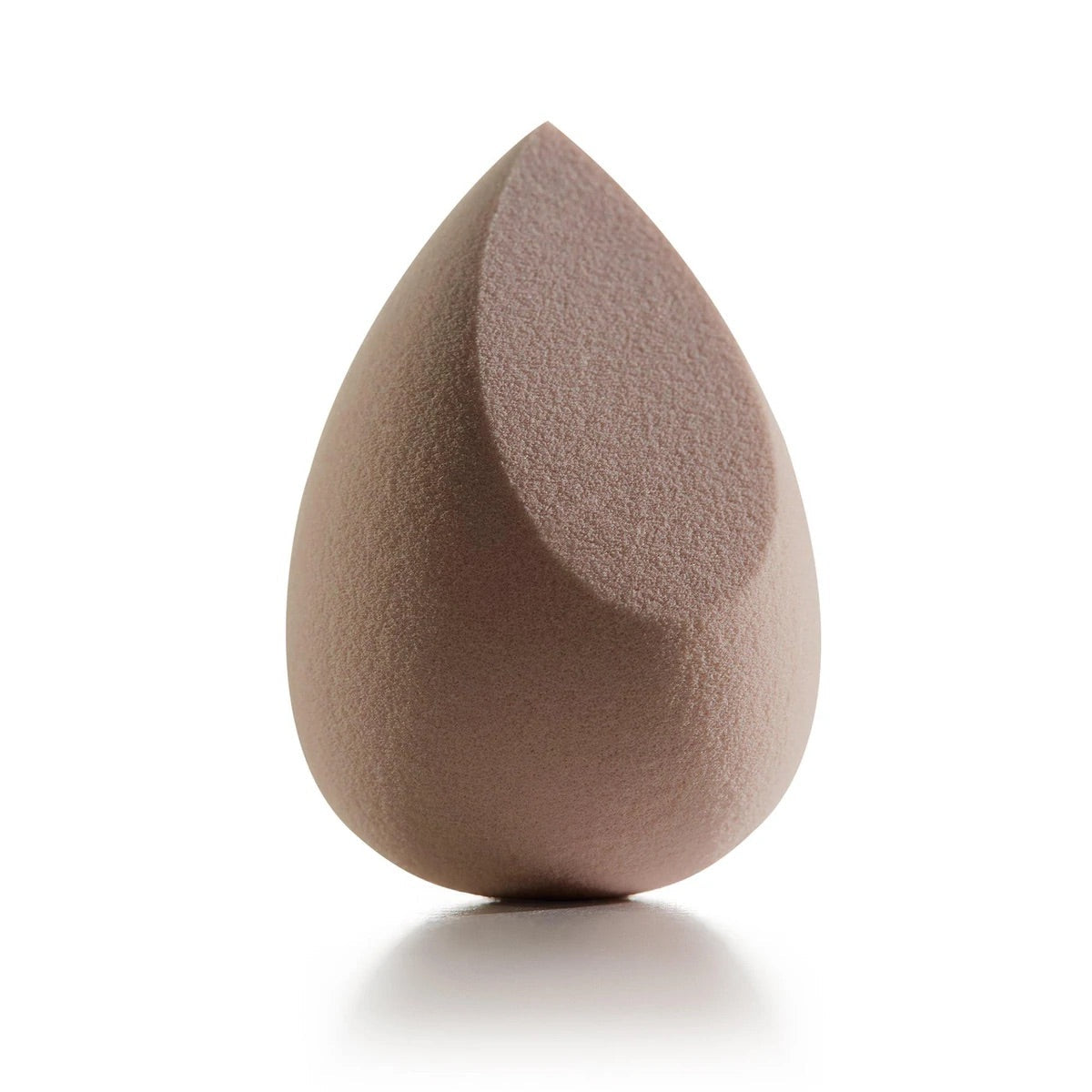 Lets Pounce Beauty Sponge