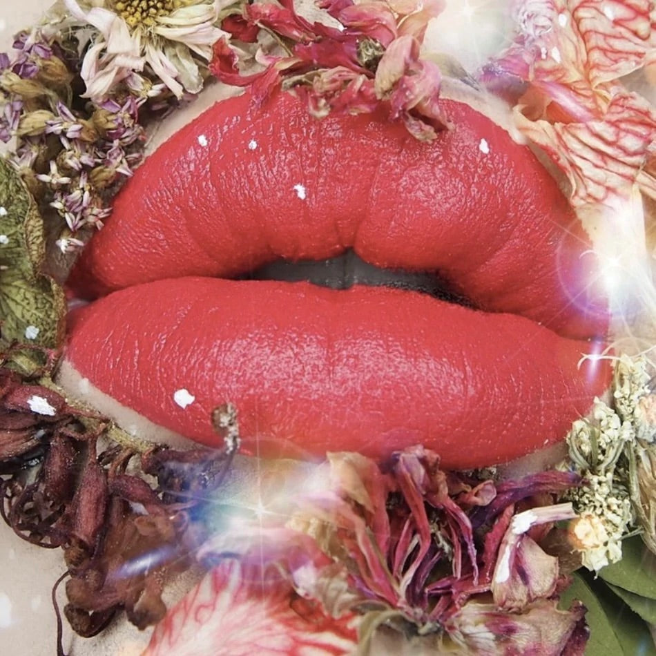 Whipped Matte Lipstick - Poppy | Suzy