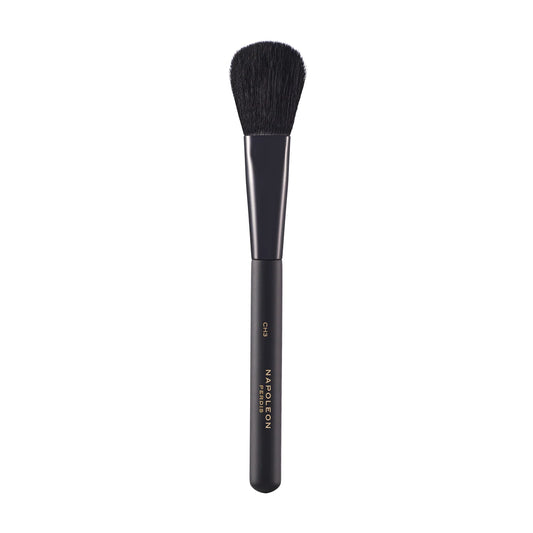 Cheek Brush CH3