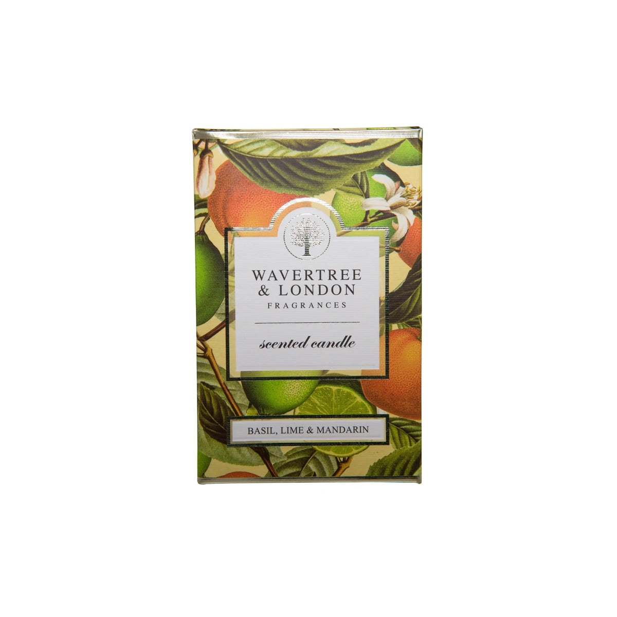 Basil, Lime & Mandarin Candle